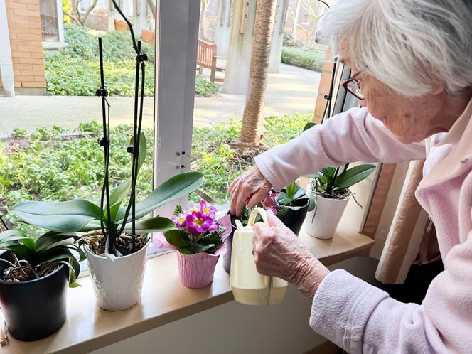 elderly-woman-watering-plants