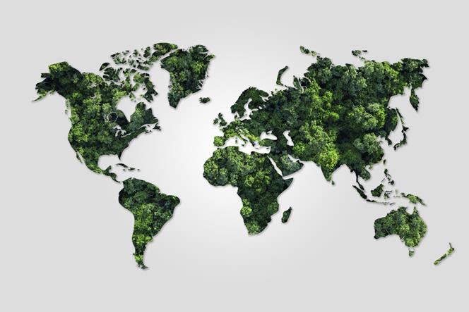 sustainability-reporting-global