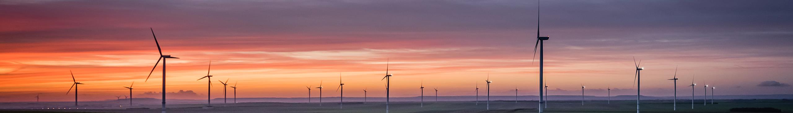 Panorama of wind turbines