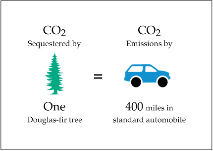 CO2 sequestered by one douglas-fir tree equals CO2 emissions by driving 400 miles in a standard automobile